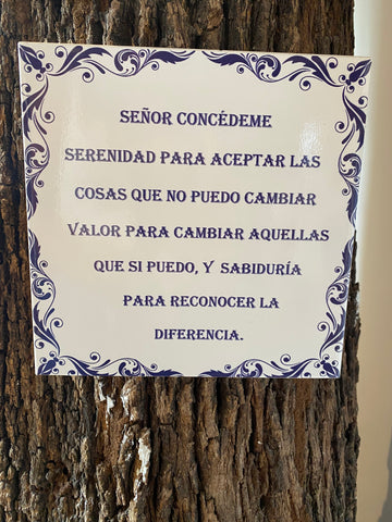 SEÑOR CONCÉDEME